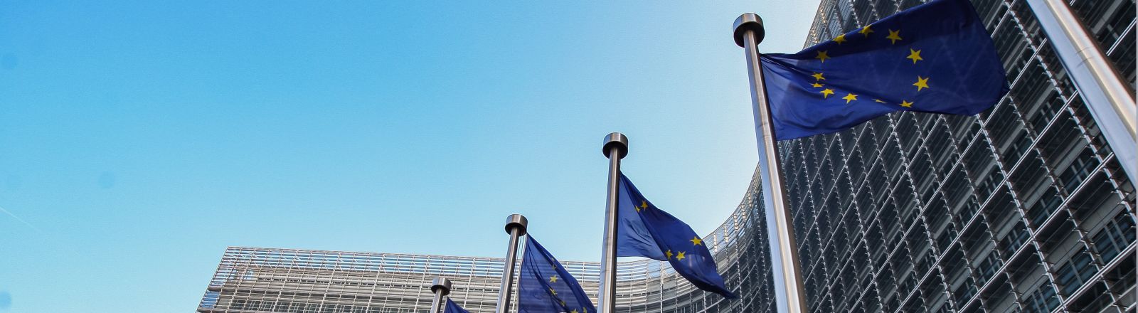 Flagi UE w tle kaweł parlamentu europejskiego